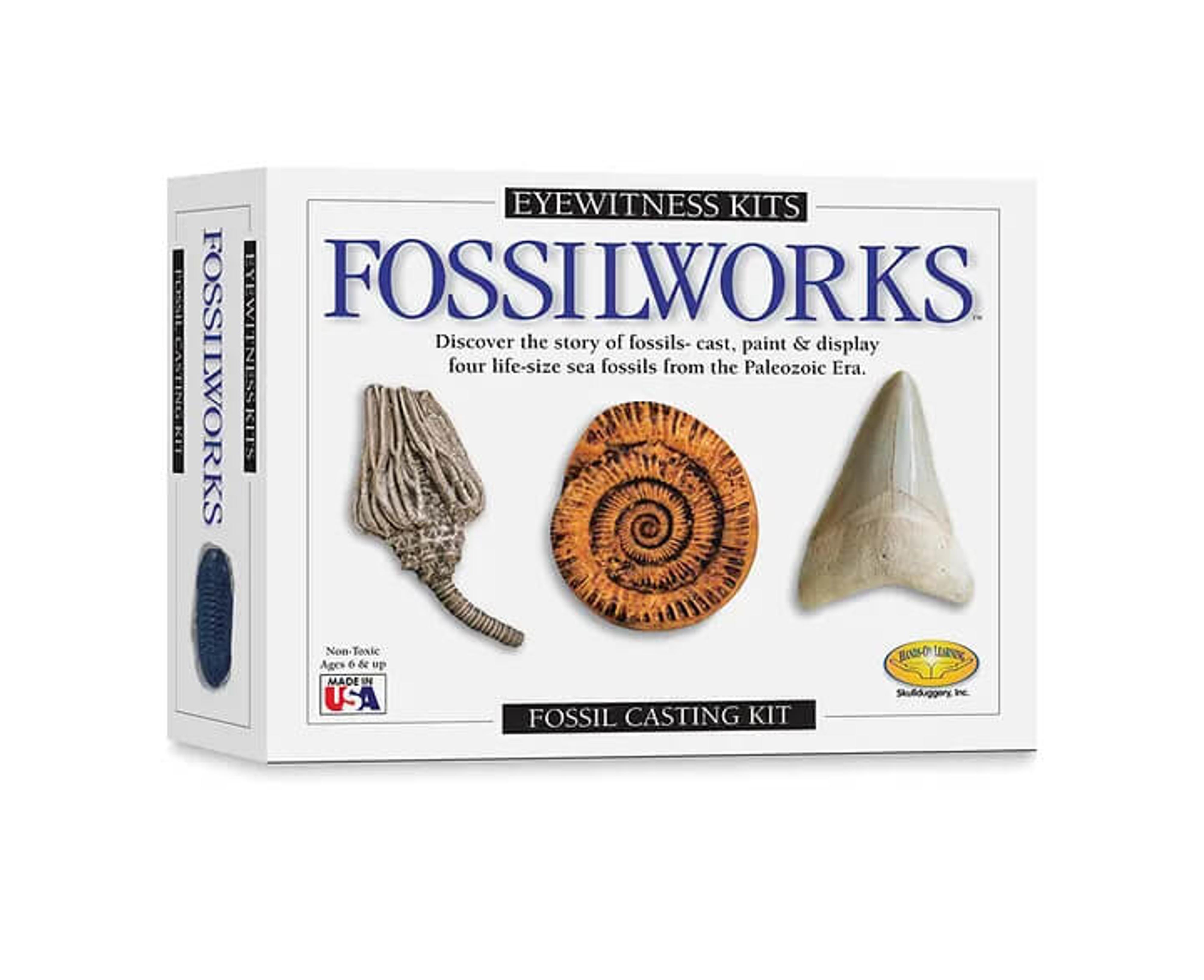 Fossilworks Casting Kit