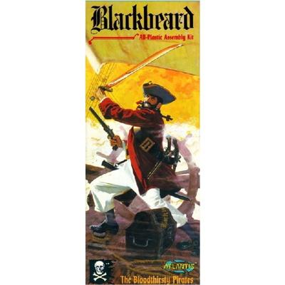 1/10 Blackbeard the Pirate 6.5