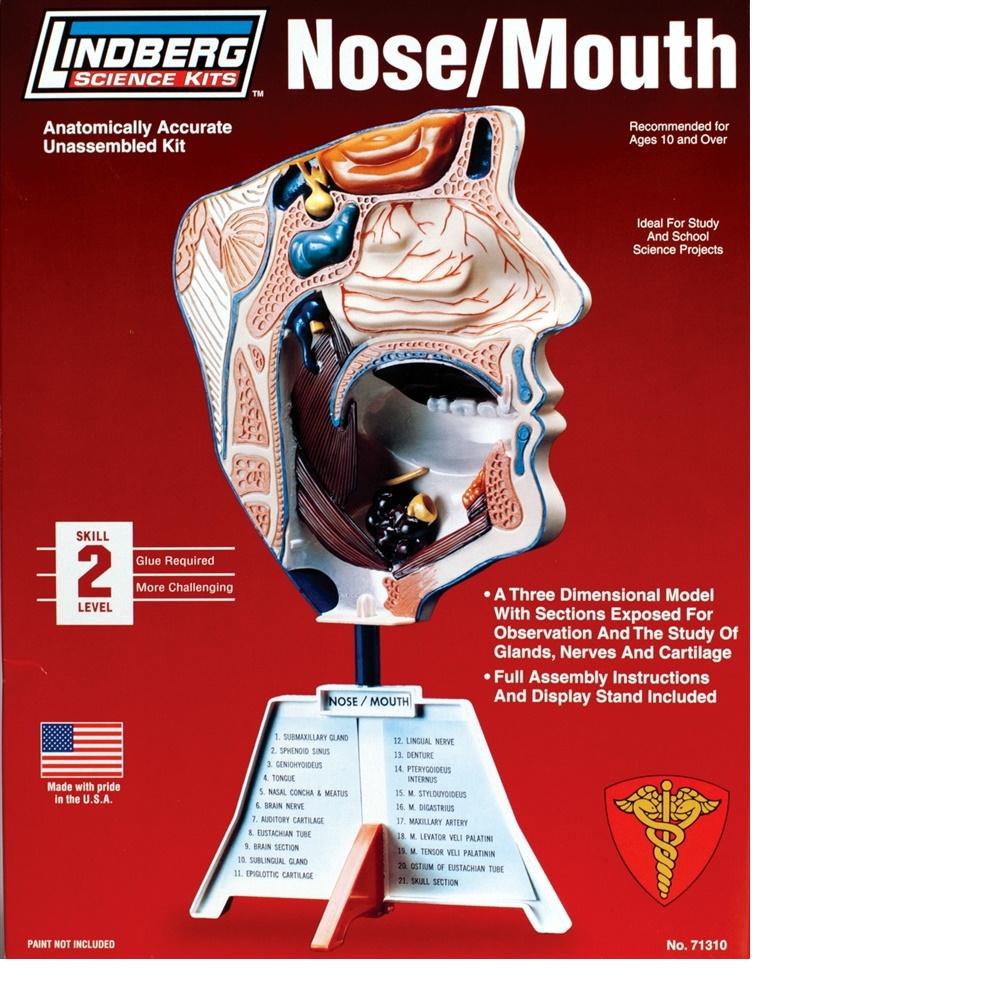 1/1 Nose/Mouth Kit Scale Model Kit