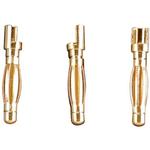 Gold Plate Bullet Connector Male 2mm (3)