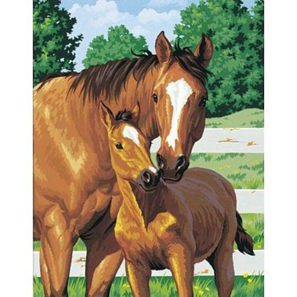 Paint by Number Mothers Pride (Horse with Foal)