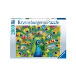 Ravensburger Land of the Peacock