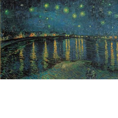 Puzzle - Starry Night Over The Rhone - 1000 pcs