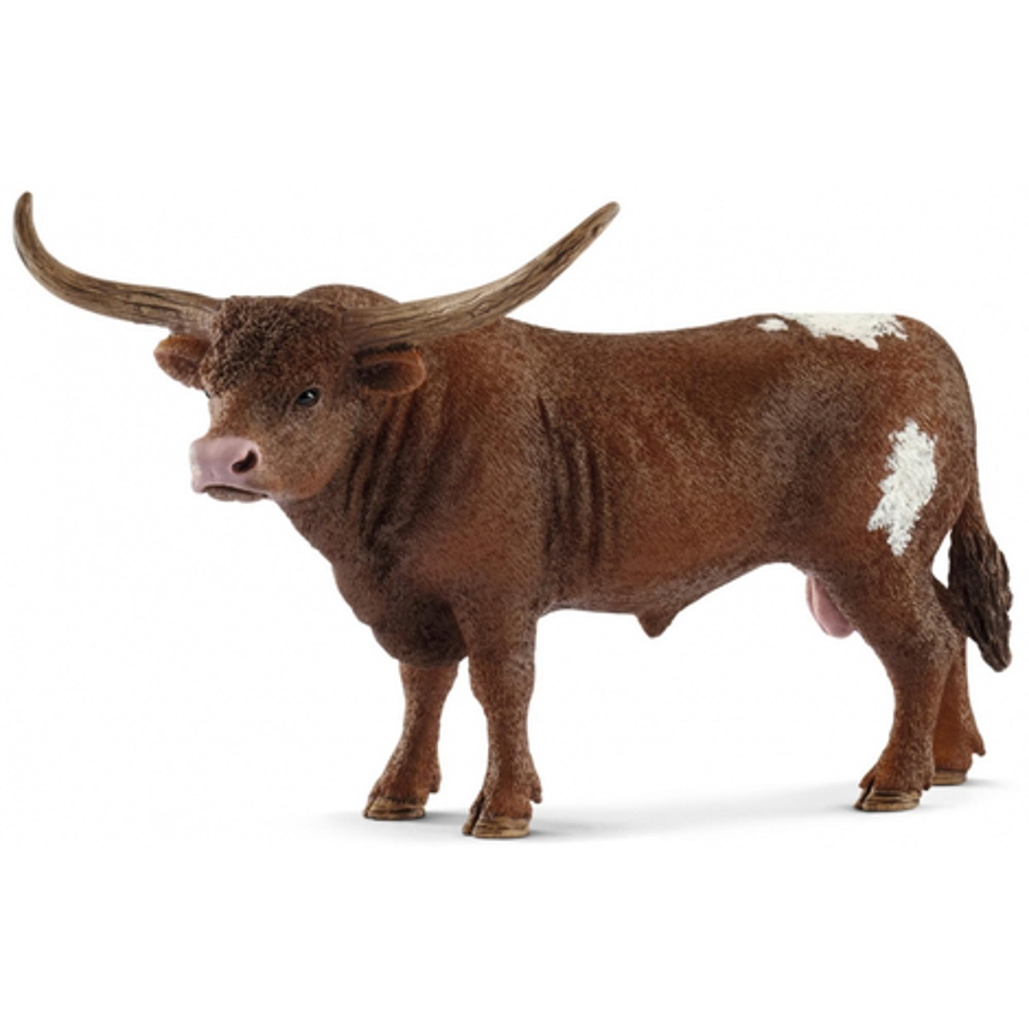 Texas Longhorn Bull 2018