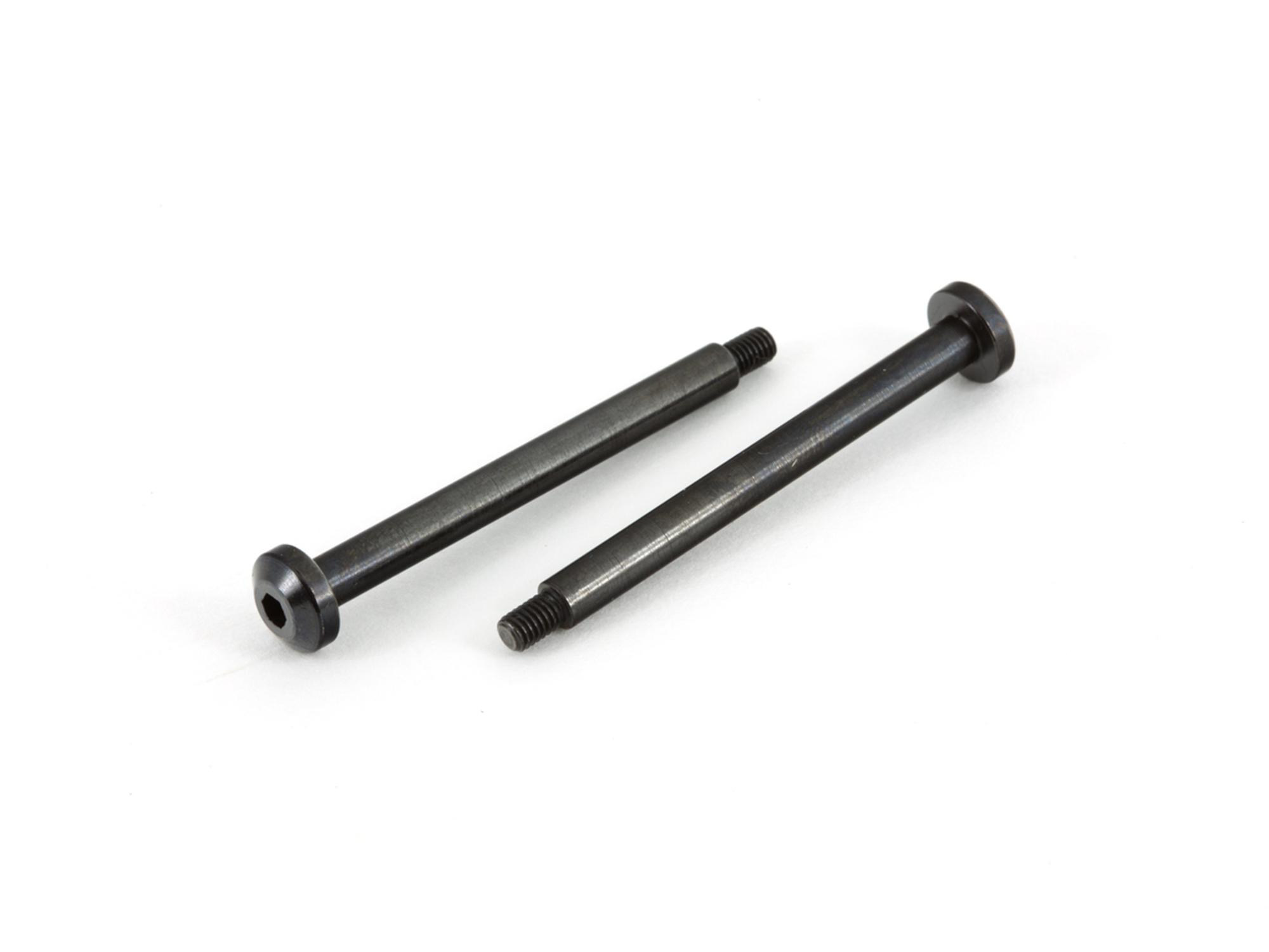 Outer Hinge Pins 4x45mm (2) - Typhon & Kraton