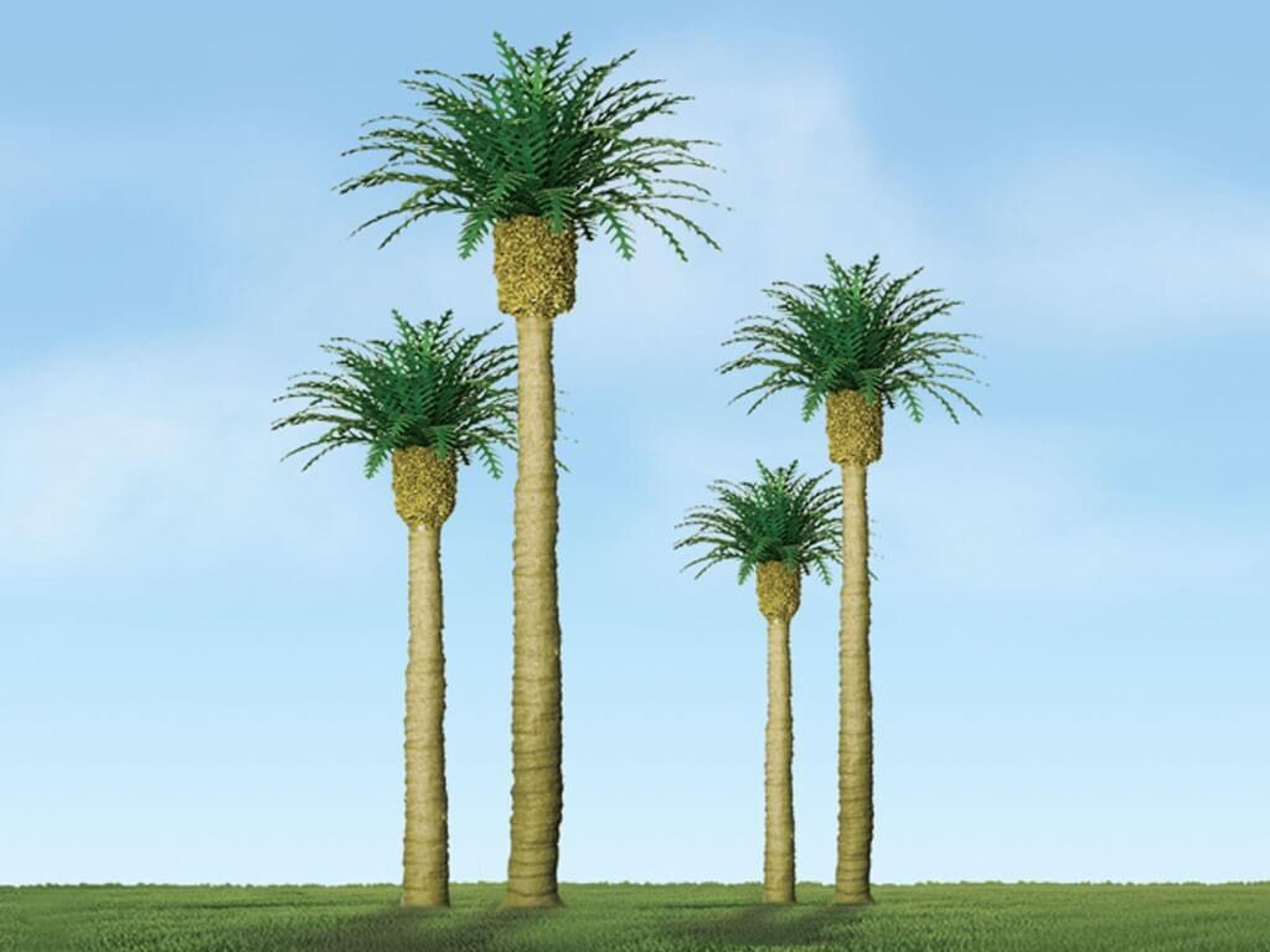 JTT Professional Series - Phoenix Palm Trees 1.5in (6ct)
