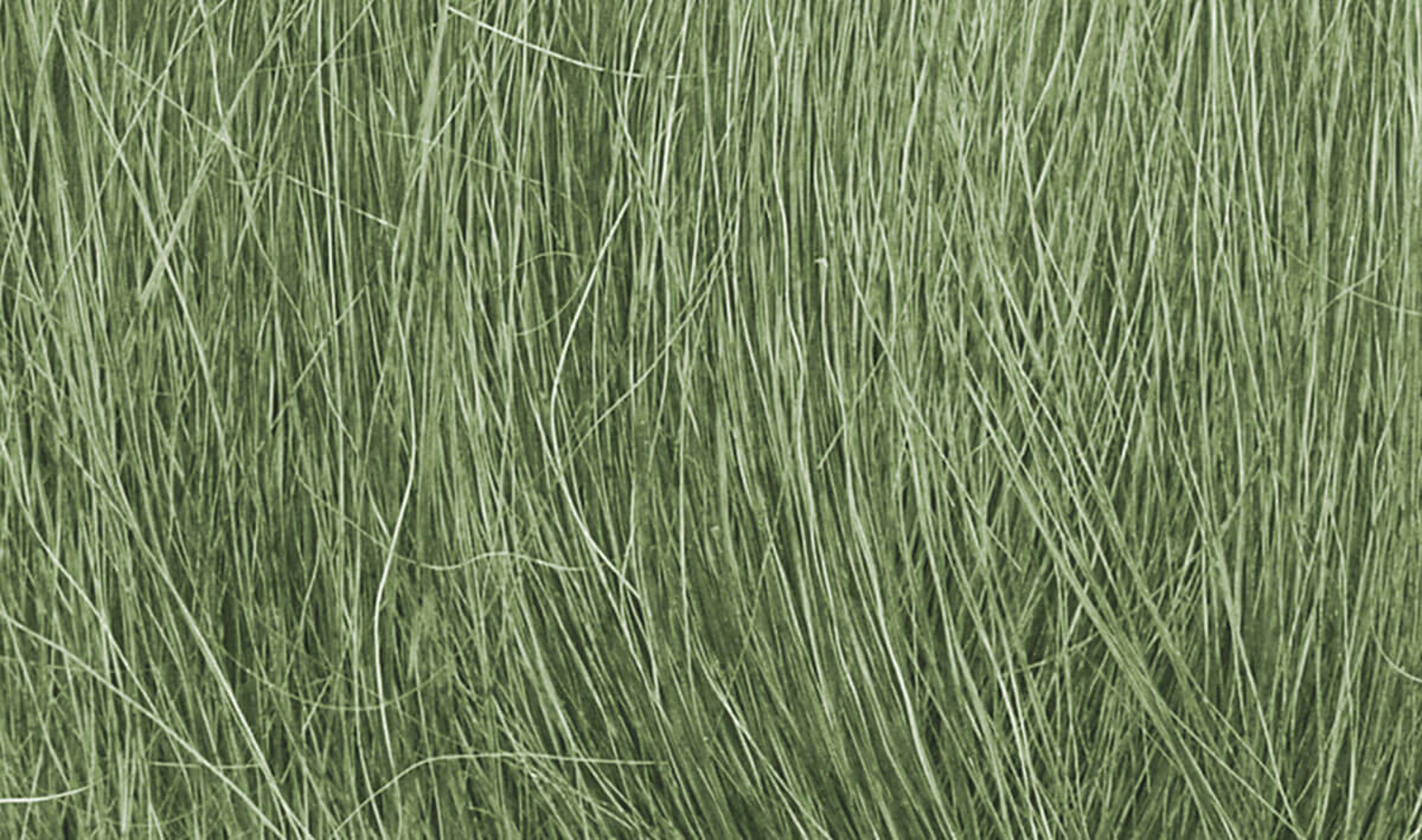 Field Grass Medium Green .28 oz