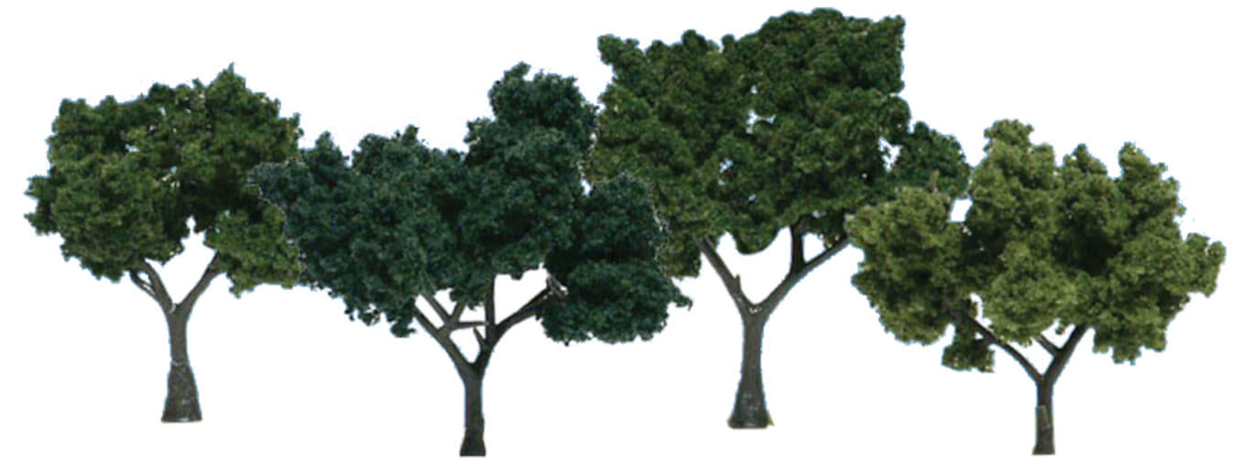 Woodland Scenics Scene-A-Rama Deciduous Trees
