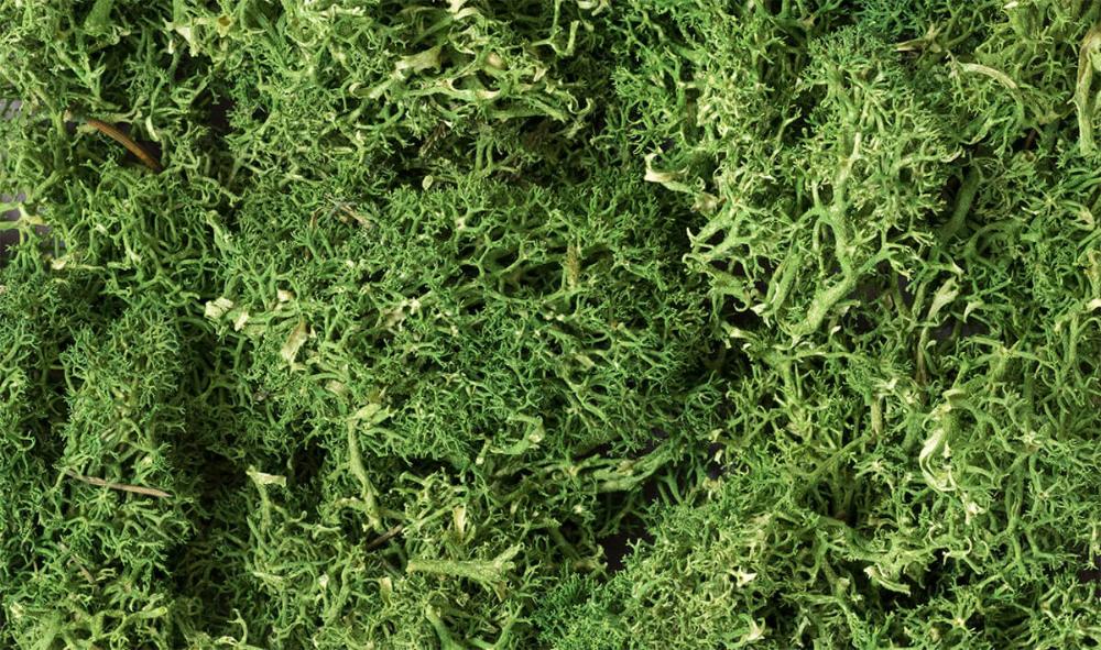 Woodland Scenics Lichen - Medium Green