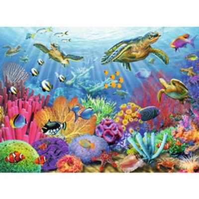 Tropical Waters Puzzle