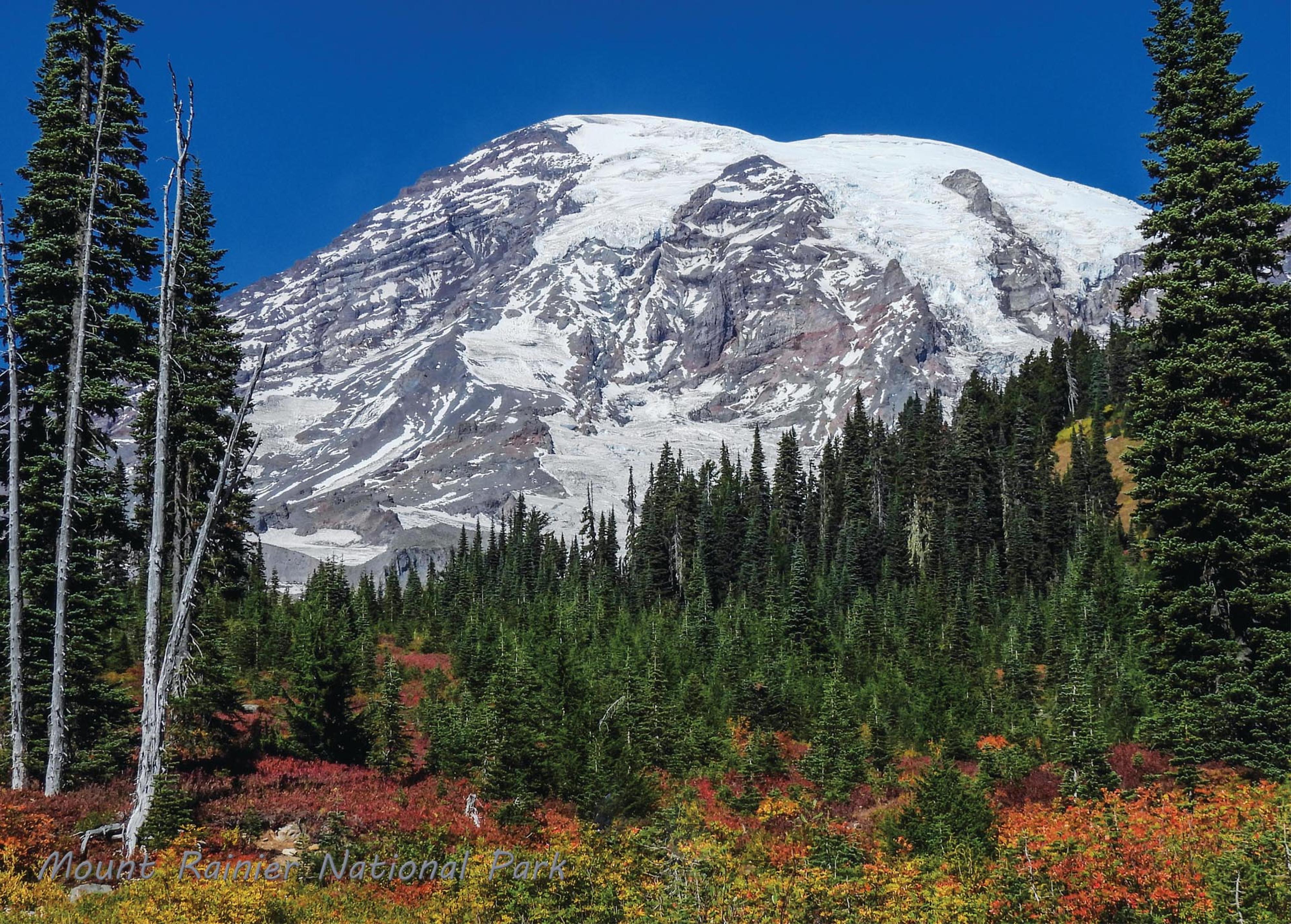 National Park Puzzles - Mount Rainer National Park Paradise in the Fall (1000 pc)