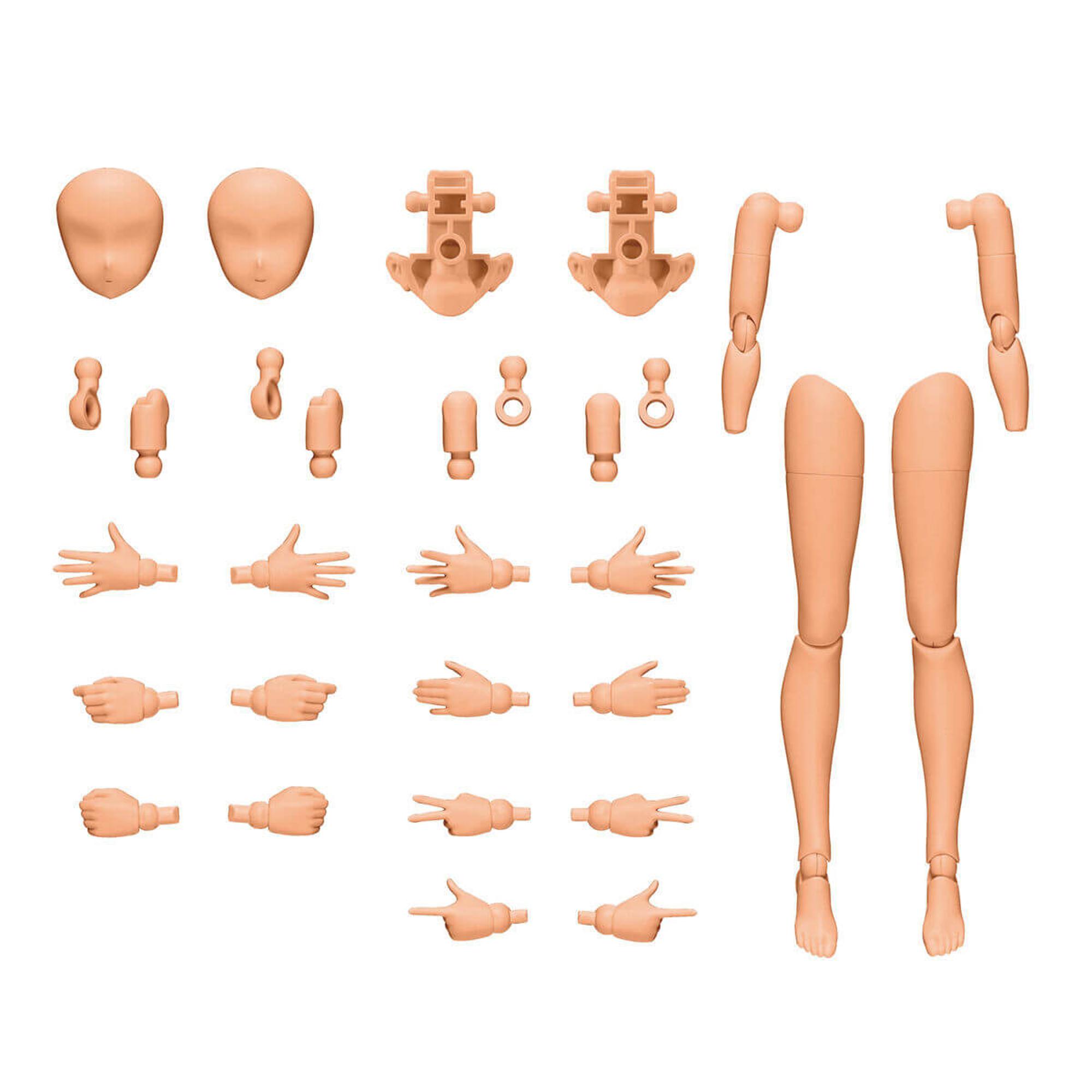 Bandai 30MS Option Body Parts Arms and Legs (Color C)