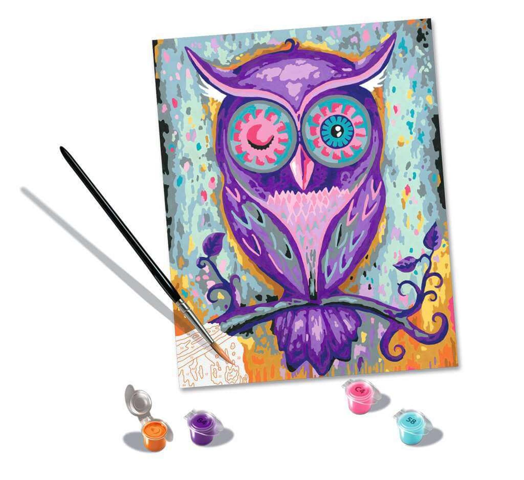 Ravensburger CreArt Dreaming Owl Paint-by-Number (10x12)