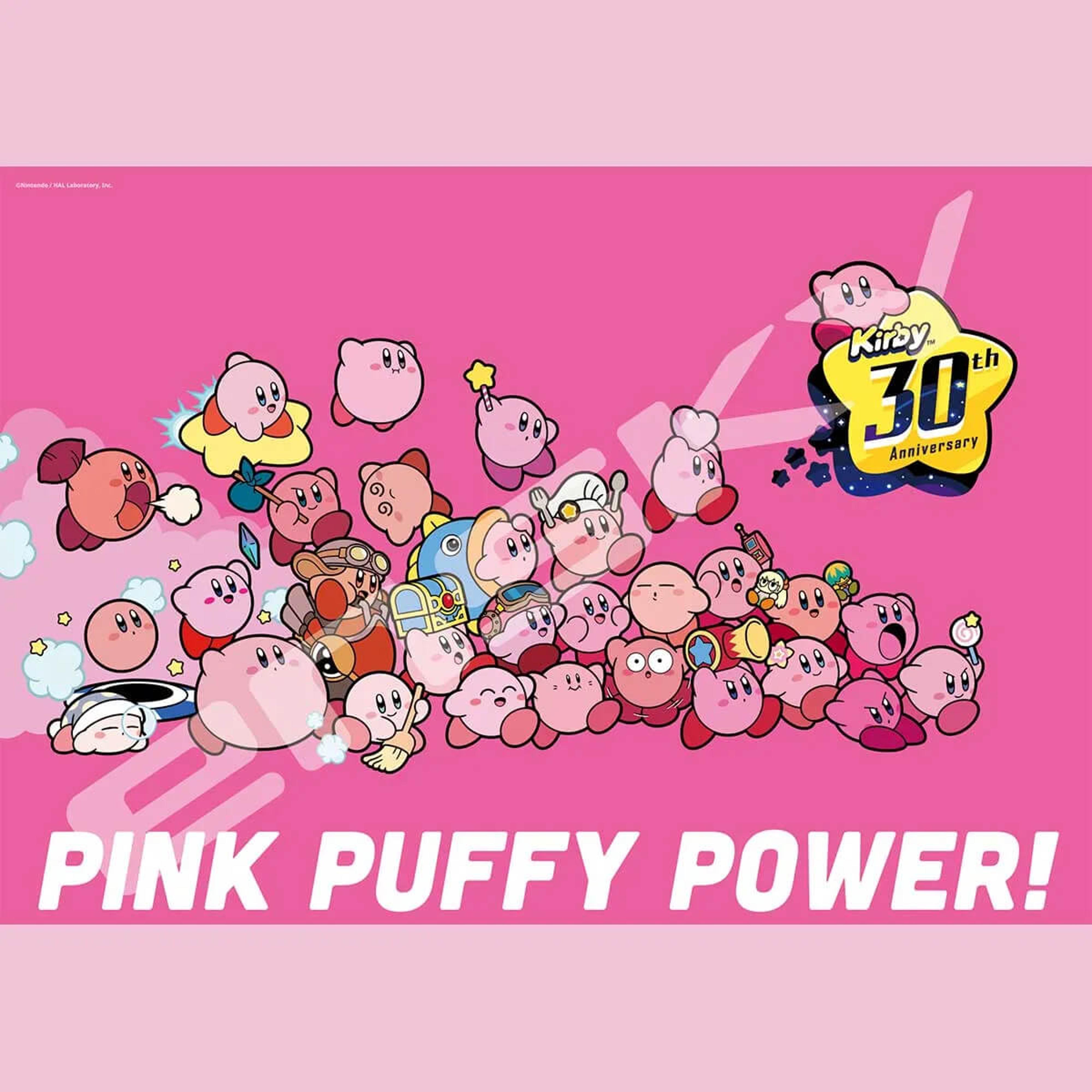 Kirby 30th Anniversary PINK PUFFY POWER Puzzle (1000 pc)