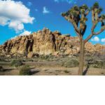 Puzzle - Joshua Tree National Park Mojave Desert - 1000 pcs