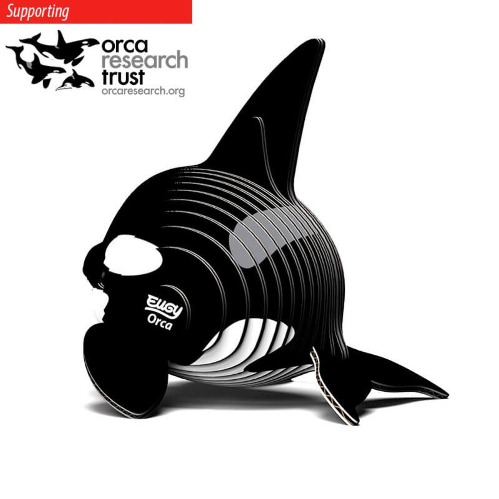 Orca 3D Cardboard Model Kit