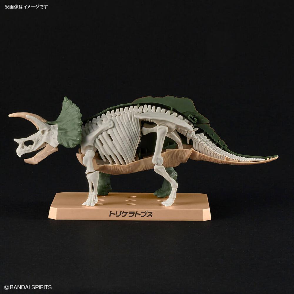Bandai Plannosaurus - Triceratops Model Kit