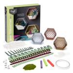 Craft Crush Mini Terrariums Kit