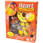 3D DIY Heart Anatomy Kit with CD